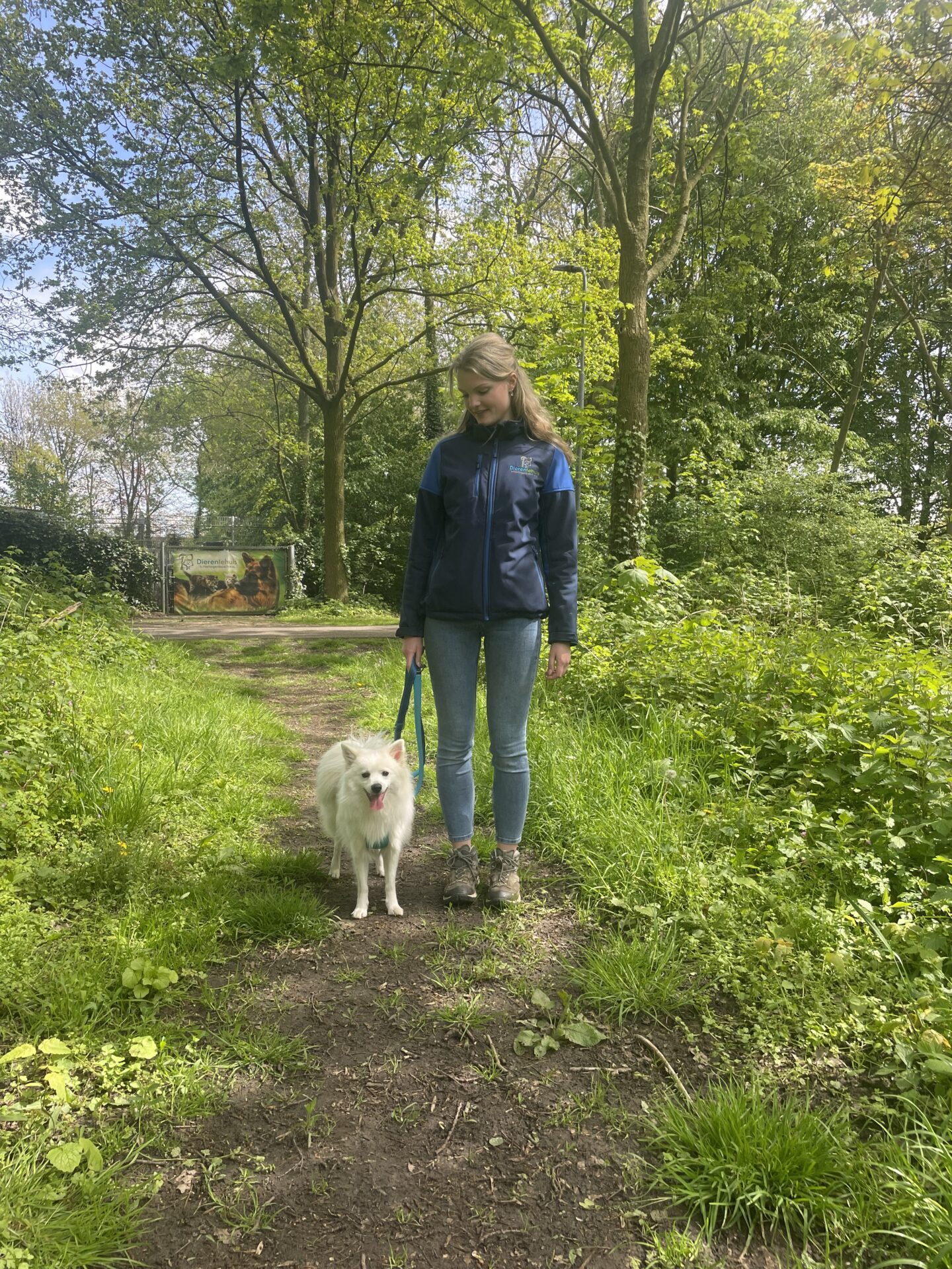 Medewerker van het Dierentehuis wandelt met een hond